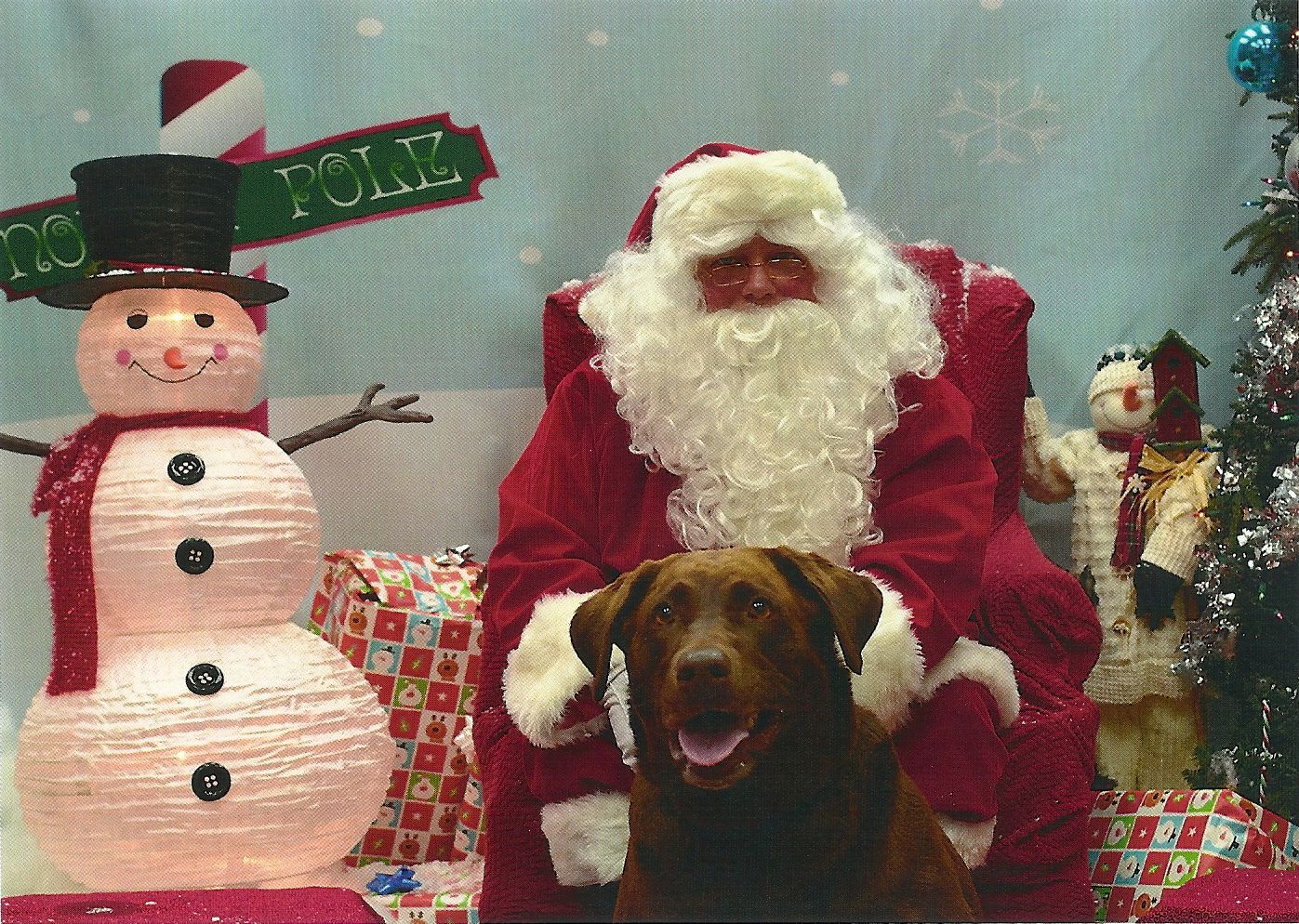 Holiday pet photos